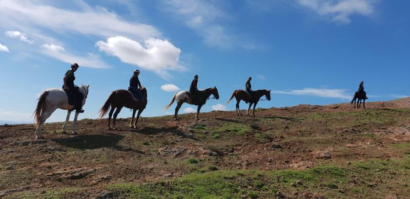 Lanzarote a Caballo