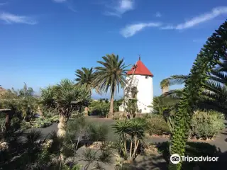 Museo Agricola el Patio