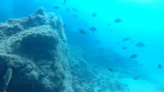 Lanzarote Buceo