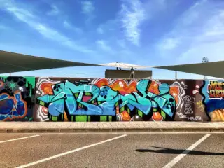 Estadi Can Misses