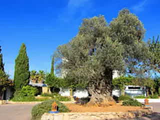 Golf Ibiza by azuLinehotels