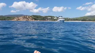 Porroig