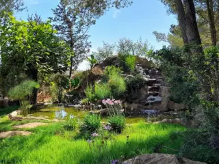 BIBO PARK Ibiza Botánico Biotecnológico