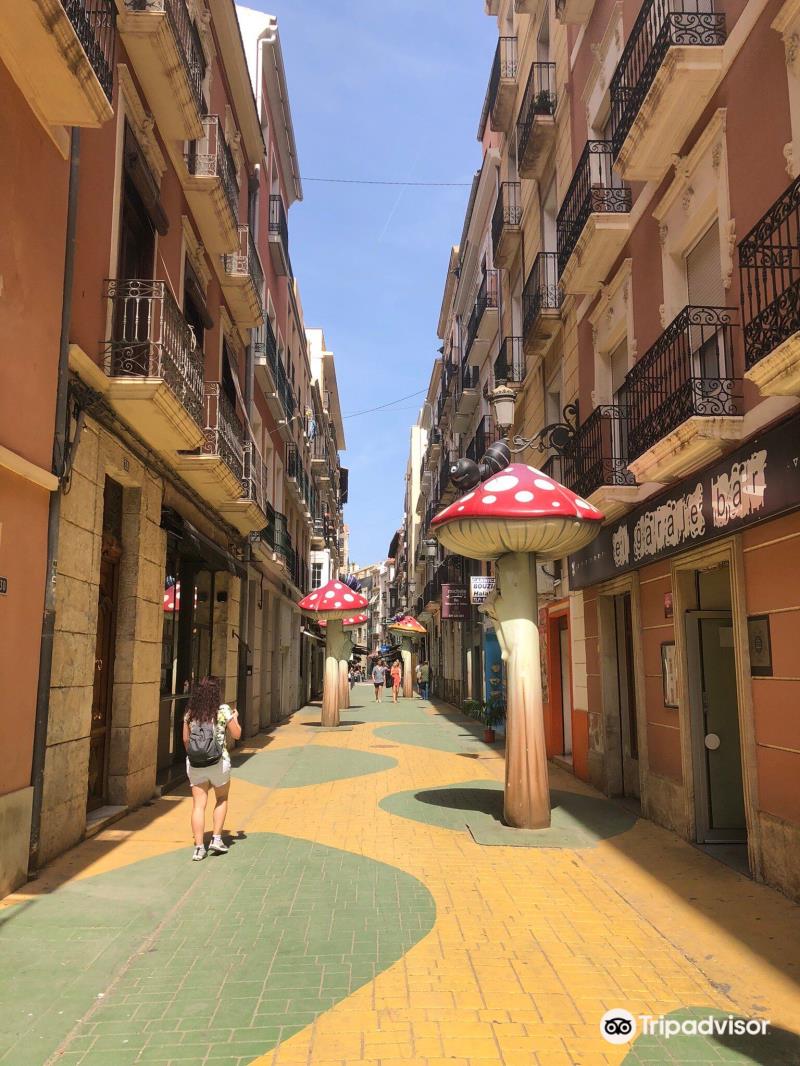 El Carrer dels Bolets