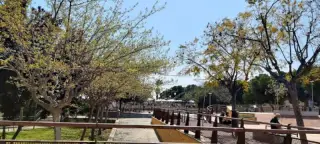 Skatepark Alacant
