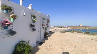 Cova del Llop Marí