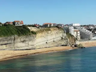Pio Baroja Udal Kiroldegia