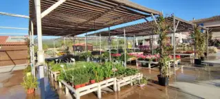 EDEEN centro integral de jardinería S.L