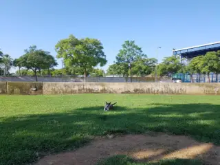 Parque de Convivencia Son Dameto d'Alt