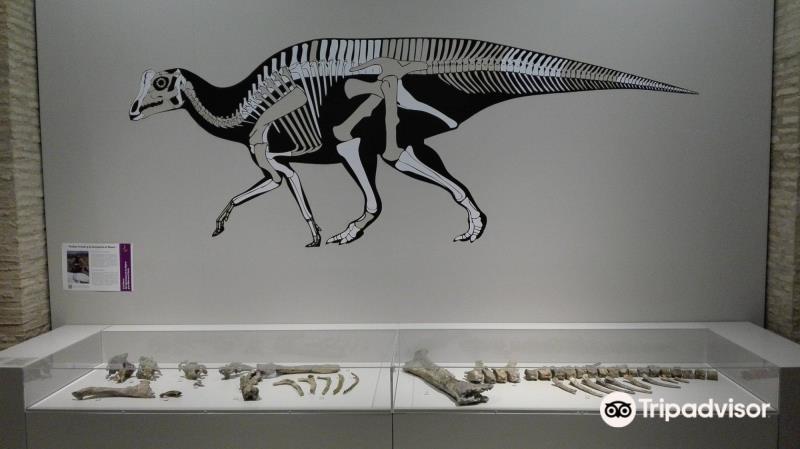Museo de Ciencias Naturales