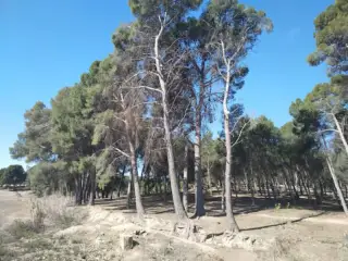 Esclusas De Valdegurriana