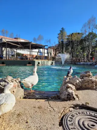 Fuente del Estanque del Parque de La Alamedilla