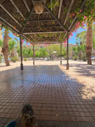Salesas Park