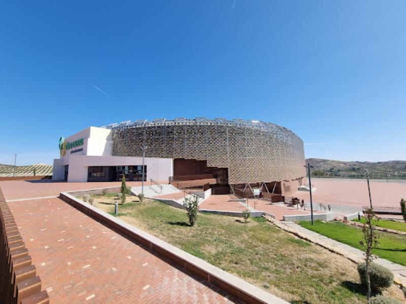 Palacio de Deportes Olivo Arena