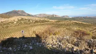 Dolmen de Otiñar