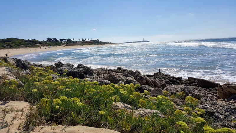 Playa de Zahora