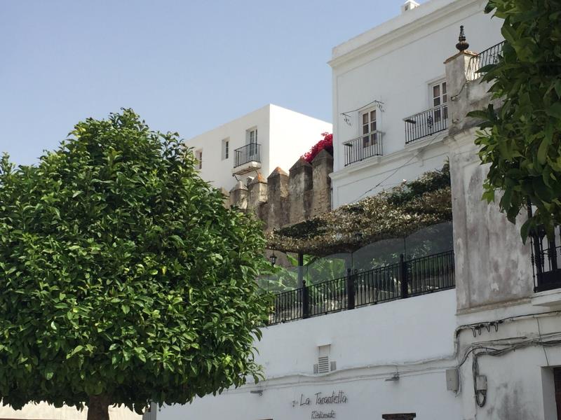 Castillo de Vejer