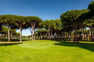 Golf Academy Novo Sancti Petri