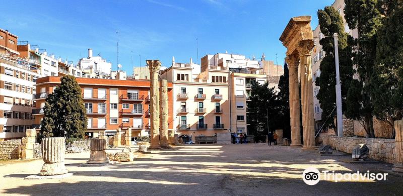 El Foro de la Colonia