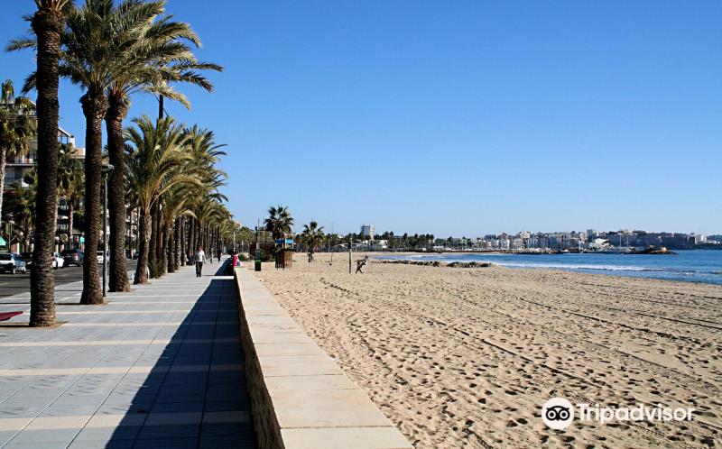 Ponent Beach
