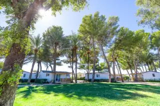 Camping Las Palmeras Store