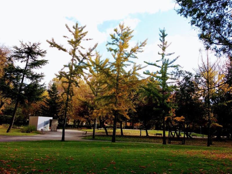 Parque Quevedo Leon