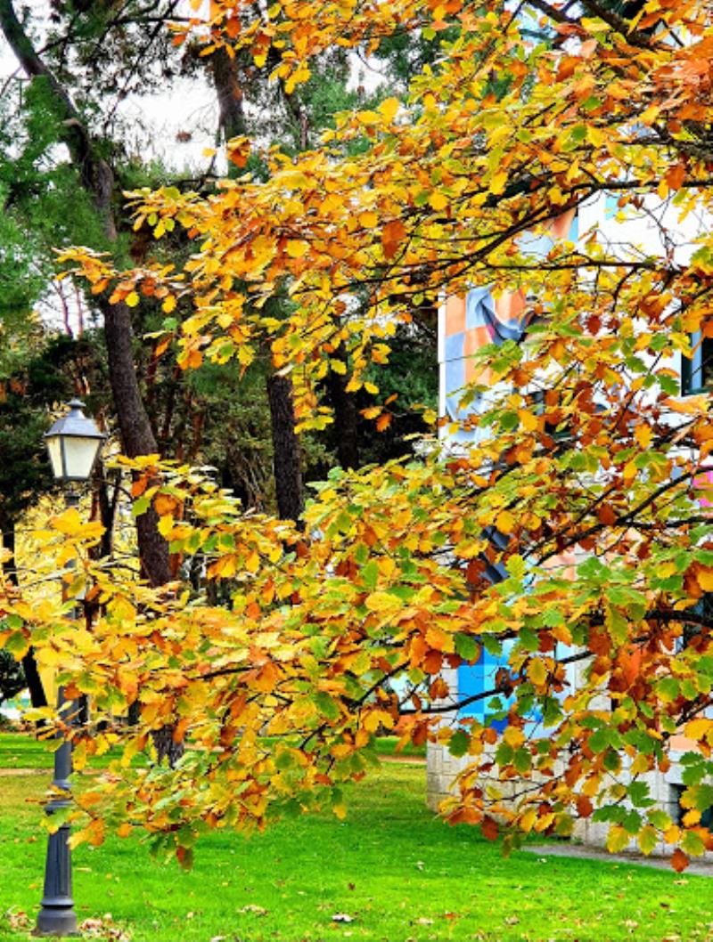 Temple Park