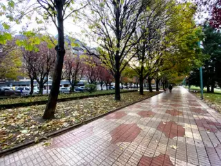 Paseo De La Condesa