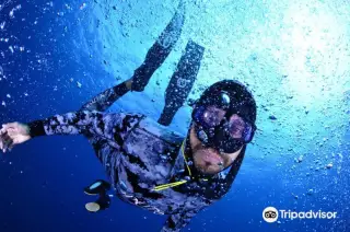 Buceo Canarias