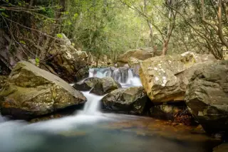 Arroyo De La Miel