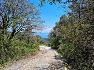 Llanos del Juncal- Tarifa