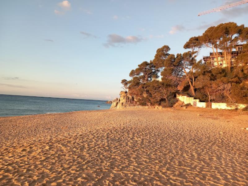 Camping Sènia Cala Gogo Internacional