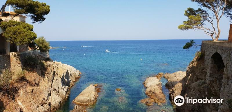 Camino de Ronda de S'Agaró a Sa Conca