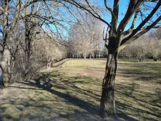 Parc del Valira