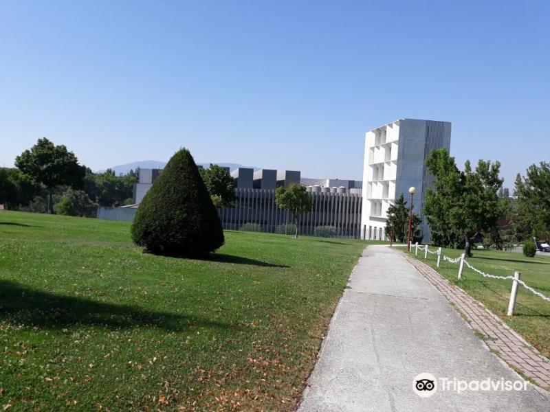 Museo Universidad de Navarra