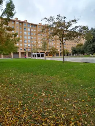 Maiteminduen Parkea