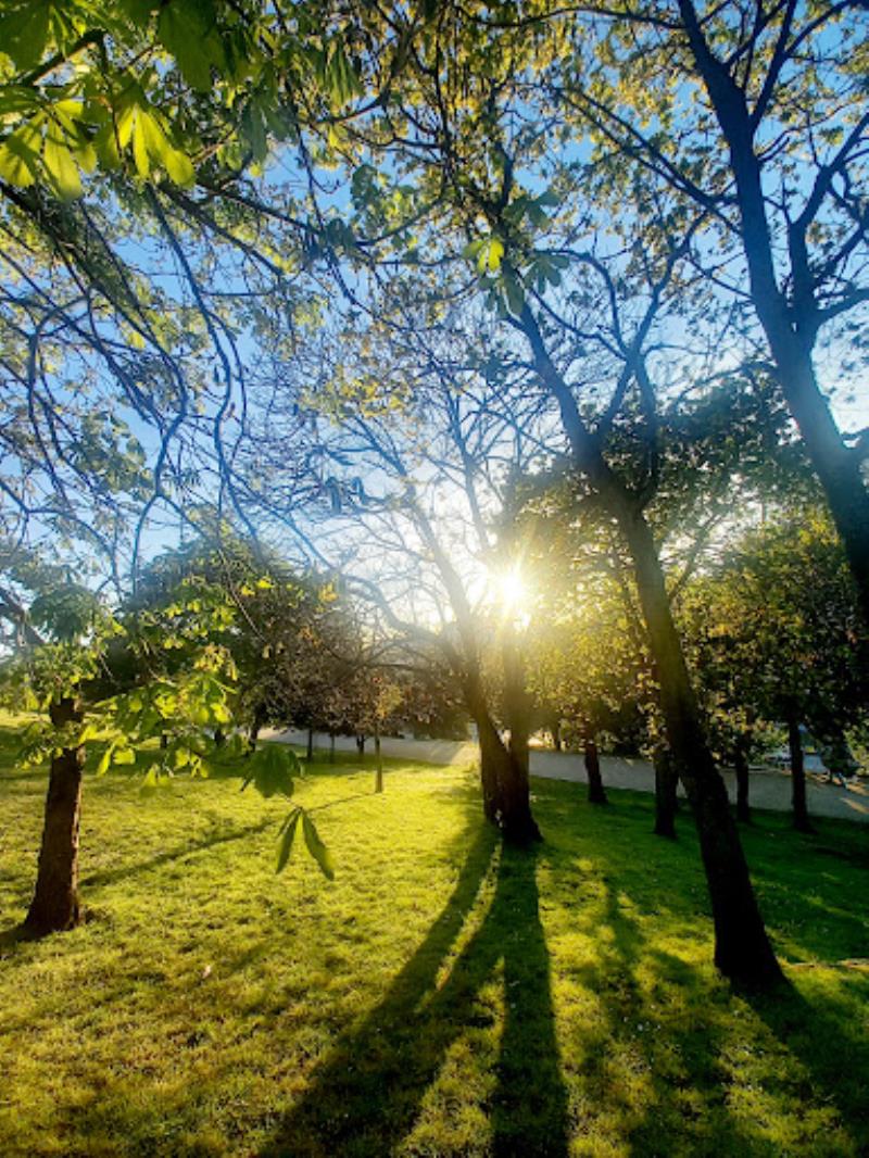 Parque de Oza