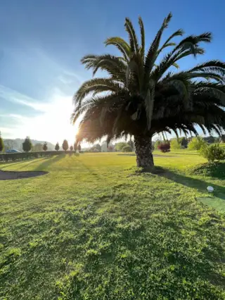 Albatros Golf