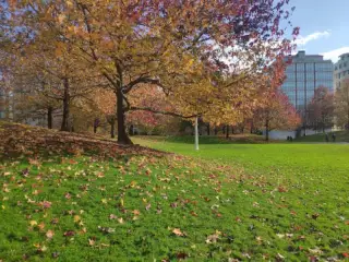 Parque de Vioño