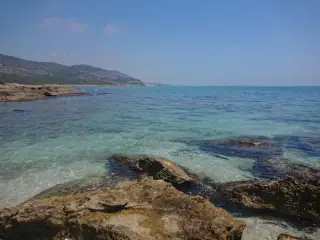 Marjal de Peníscola