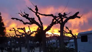 Camping Vizmar