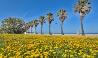 Camping & Bungalows Estanyet