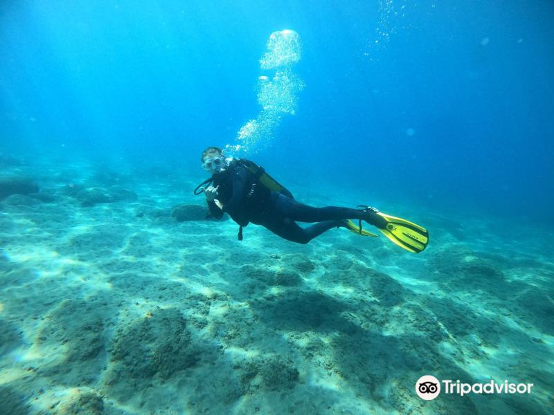 Diving Atlantis Tenerife