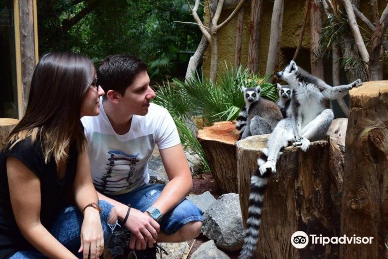 Park Las Aquilas Jungle Park