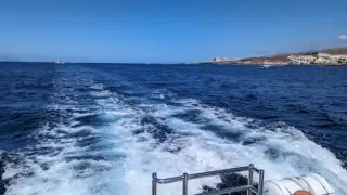 Monte Cristo Catamaran, 5-star Whale and Dolphin Tours, Boat Trips Tenerife