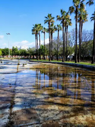 Parque Juan de la Plata (flamenpcólogo)