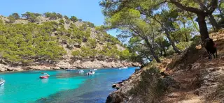 Cala Murta