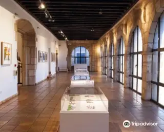 Museo Fundacion Antonio Perez
