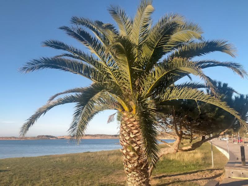 Playa de Usil