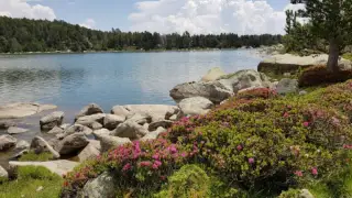 Estany de Malniu